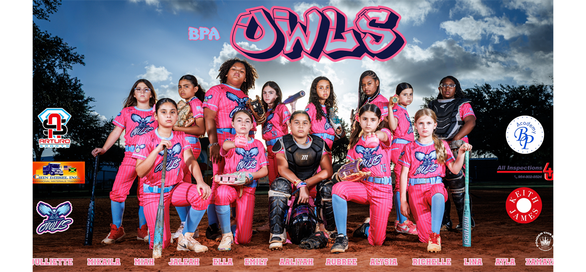 Check Out our 10u Owls!